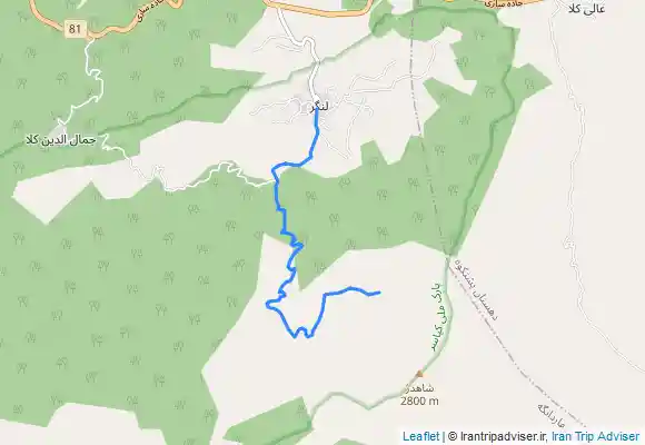 ترک جی پی اس برگشت شاهدژ