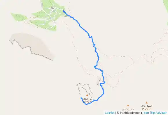 ترک جی پی اس گل اندام