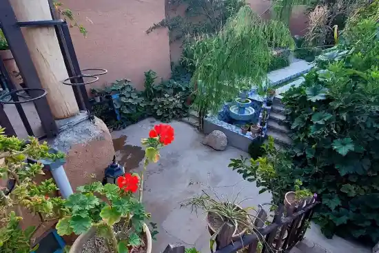 اقامتگاه بومگردی دره پرستوها