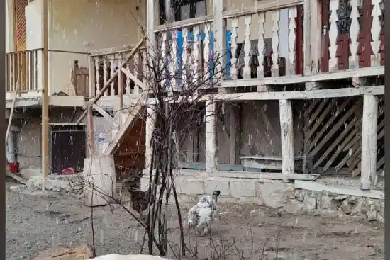 اقامتگاه بومگردی میکال