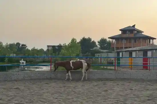 اقامتگاه بومگردی شاتوت