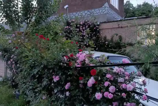 اقامتگاه بومگردی پیرصفا (هه وار)