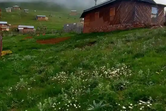 اقامتگاه بومگردی لیمرا