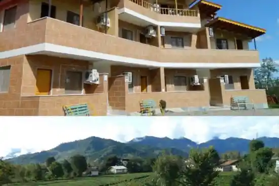 مجتمع گردشگری امیر