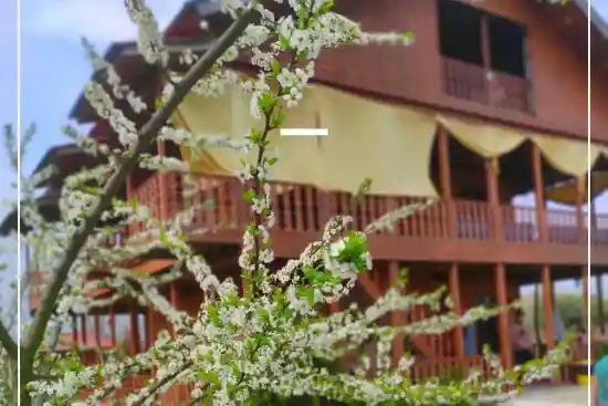 اقامتگاه بوم‌گردی مارجان