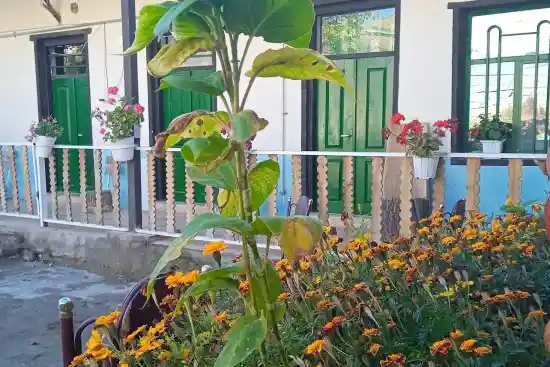 اقامتگاه بوم‌گردی کامران