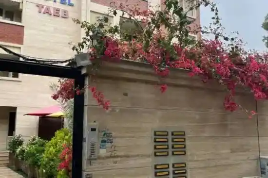 هتل آپارتمان تائب شیراز