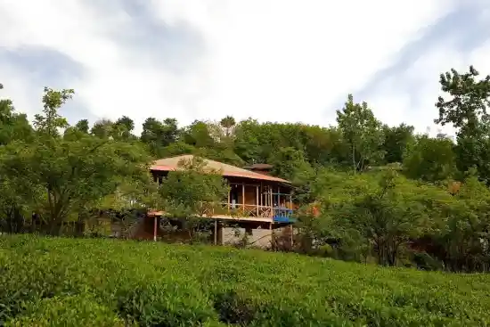 اقامتگاه بومگردی مخمل بانو