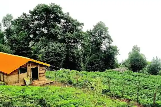 مجتمع گردشگری ییلاقی ماسال