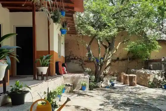 اقامتگاه بومگردی ت تی