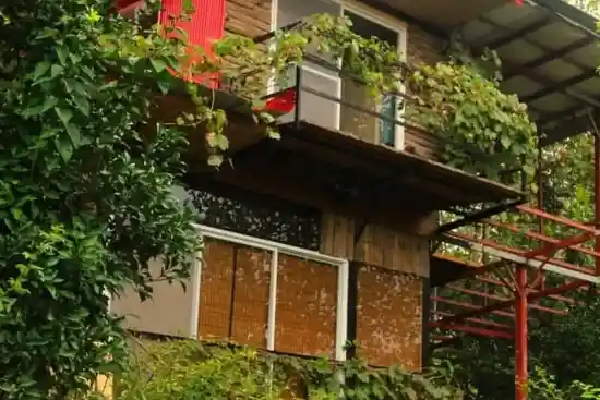 مجتمع گردشگری بومیت