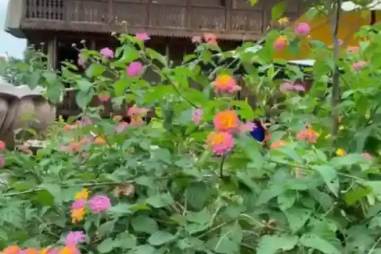 اقامتگاه بومگردی شعله ماسوله