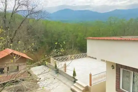 ویلای باران