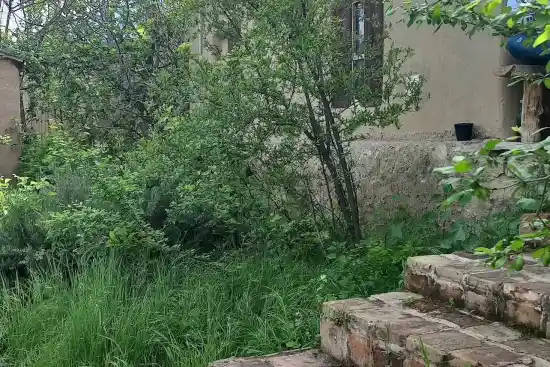 اقامتگاه بومگردی آرچه