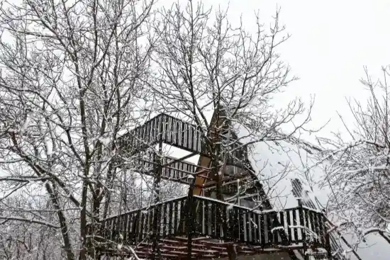 کلبه سوییسی آدلی