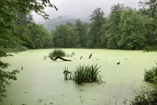 مرداب خشکاسرا