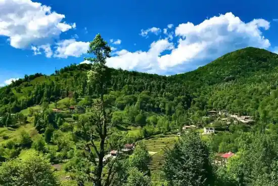 روستای شیرکوه