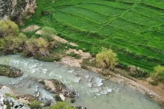 پارک جنگلی پروز