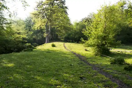 پارک جنگلی کشپل