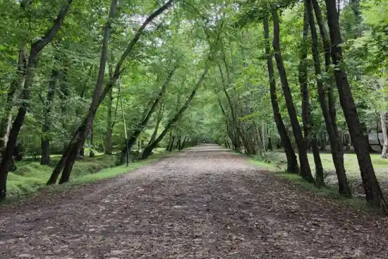 پارک جنگلی نور