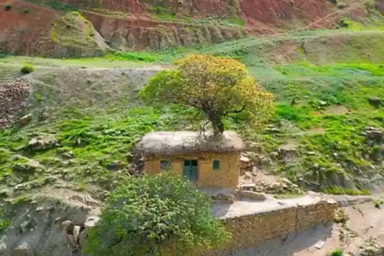 امامزاده محمد بیژگن