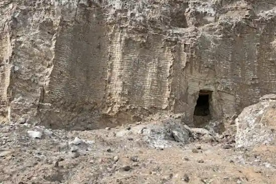 دیوار پوست مار