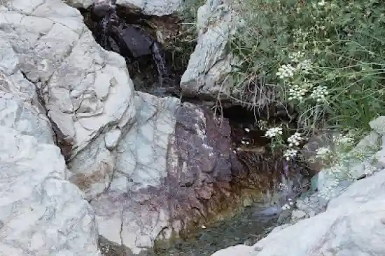 چشمه بیدستان