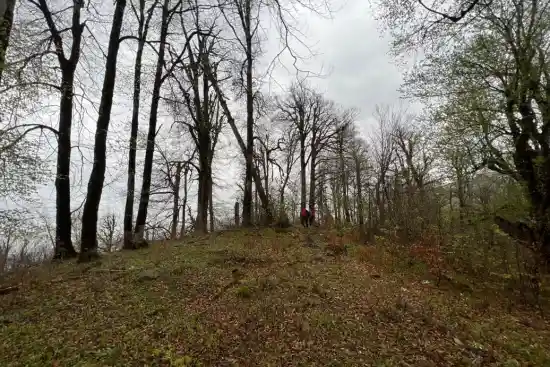 دشت سه گیتی