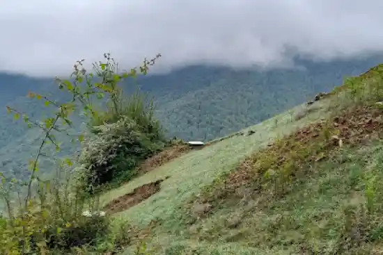 ییلاق چوئه ژیه