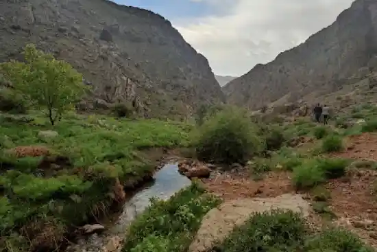 تنگه مروارید