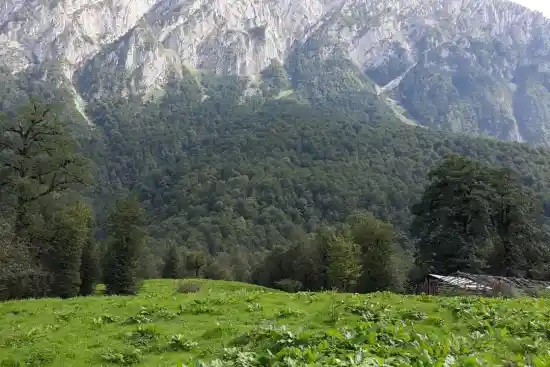 دشت گاو اسکیز