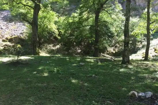 جنگل کجور به سیسنگان