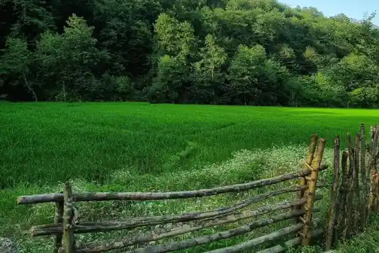 روستای تیکسر