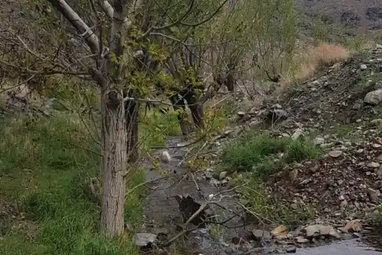 روستای وشنوه