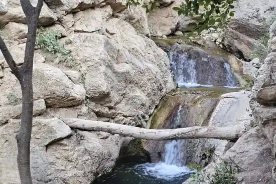 حوضچه کفترخانه
