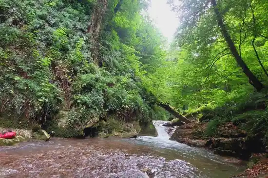 تنگه شیرین رود