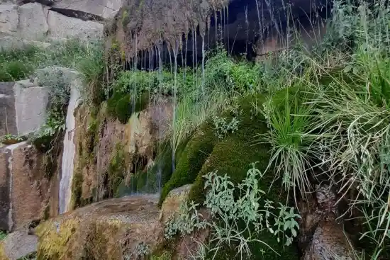 دره لاکوچک طرزجان