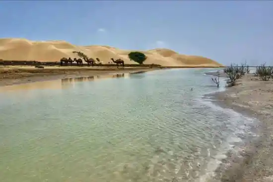 شبه جزیره زیارت سر