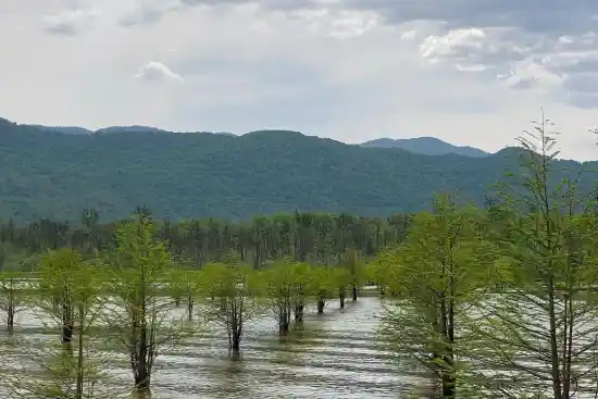 دریاچه الندان