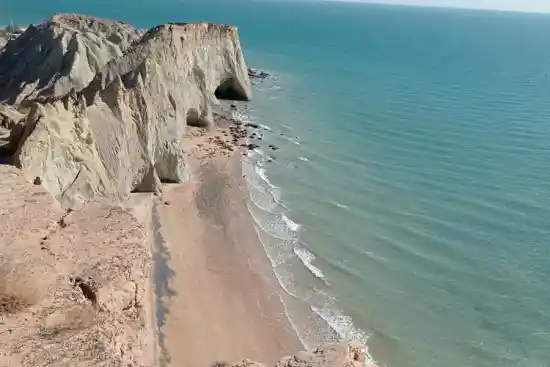 ساحل لاکپشت ها