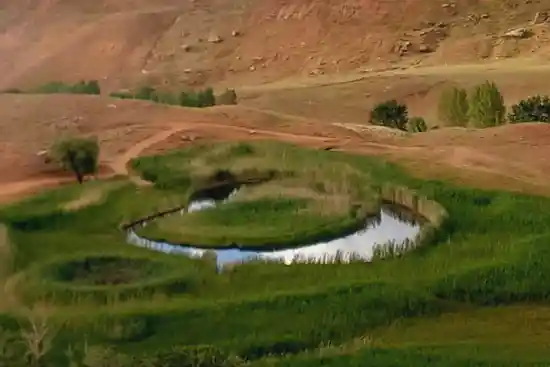 چمن شناور چملی گول