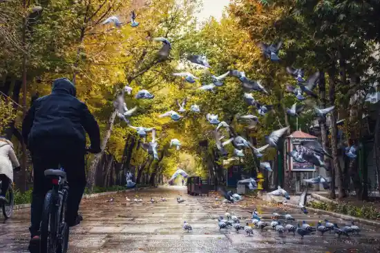 چهارباغ عباسی