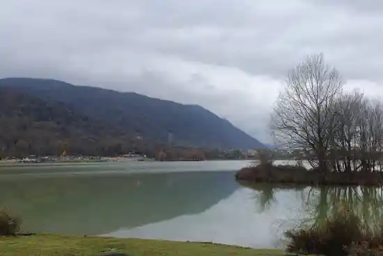 دریاچه آویدر