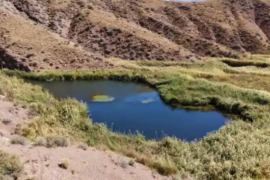 دریاچه آله بن