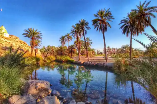 چشمه سبز پوشان