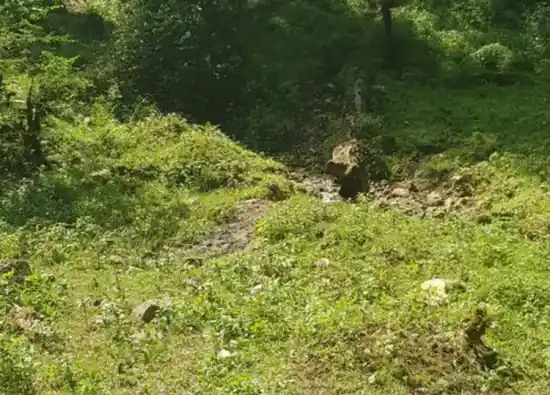 چشمه وسه وشا