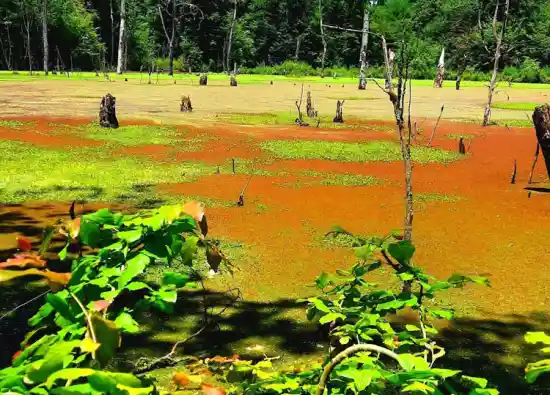 دریاچه تلارسر