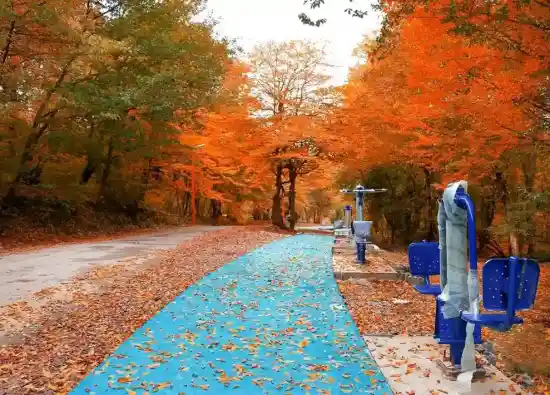 پارک جنگلی تلار