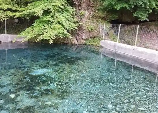 چشمه ورگینه وا