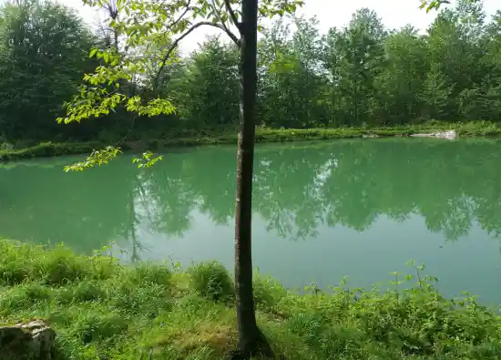 آبندان لرگی